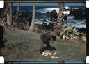 Hawaii 1959 Vol II