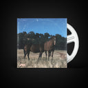 SoCal Life Vol II // Early 1970s