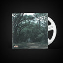 Louisiana Plantations // Early 1980s