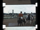 Kentucky Derby & Holidays 1953
