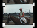 Kentucky Derby & Holidays 1953