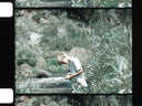 Camping Sequoia National Park // Early 1970s