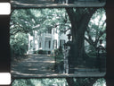 Louisiana Plantations // Early 1980s