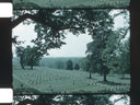 Vicksburg National Battlefield // Early 1980s