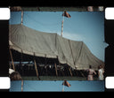 Farm and Circus Scenes // 1949 - RARE AND HISTORIC
