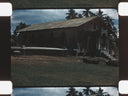 Fiji // 1960
