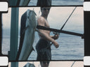 Hawaii Fishing Trip // 1959